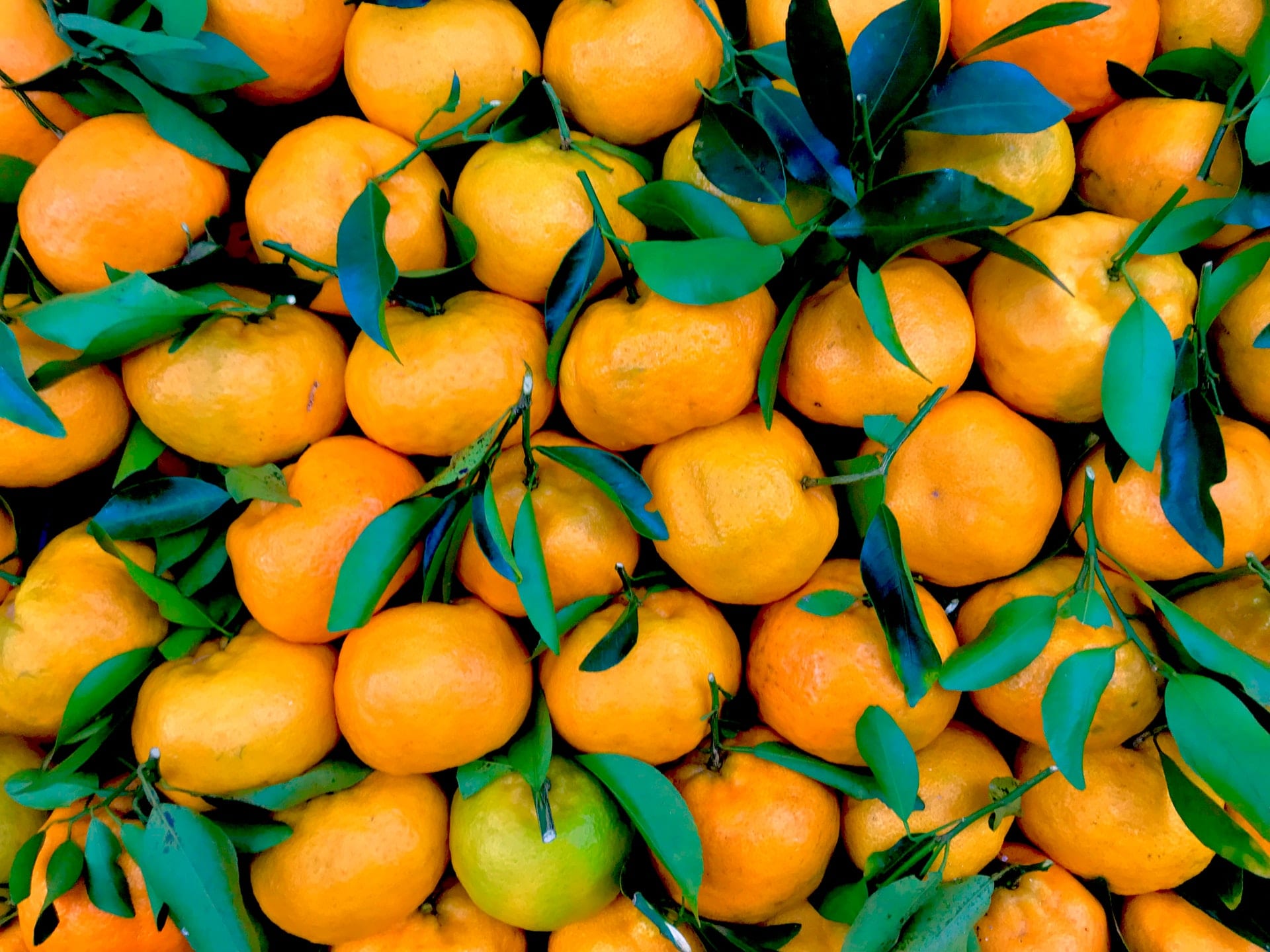 Pile Of Orange Fruits 2495220