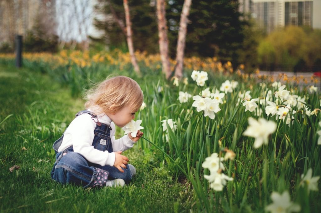 Natural Skincare for Spring - child smelling daffodil