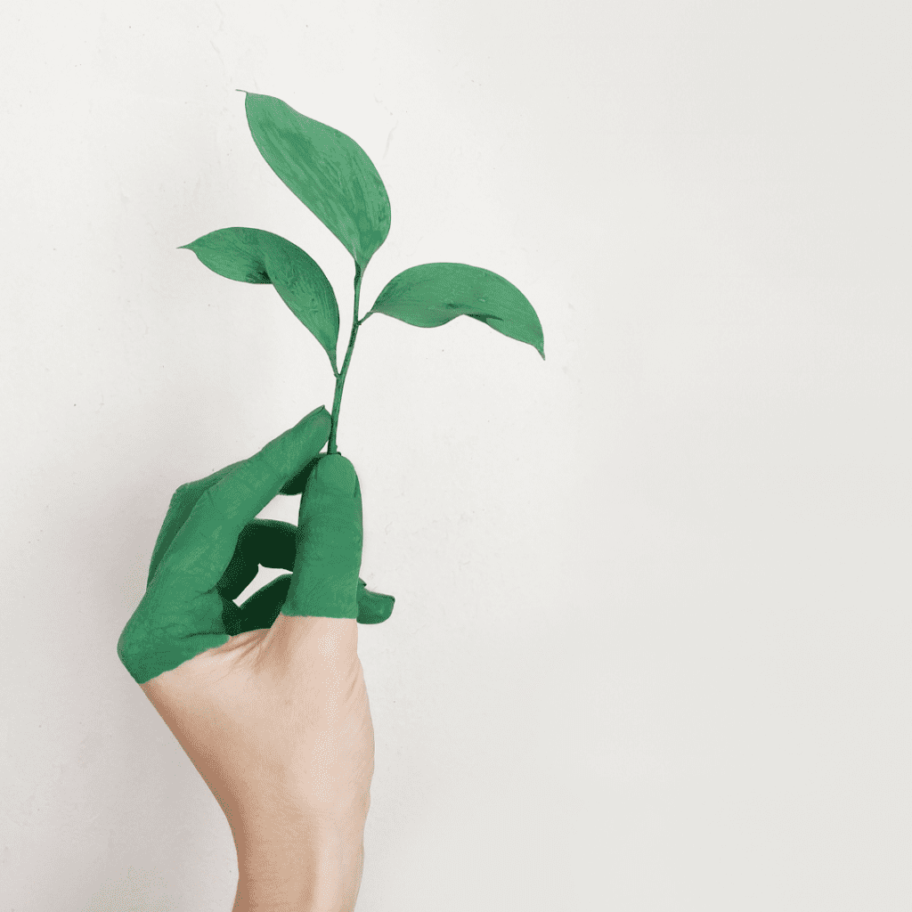 Green washed hand holding plant