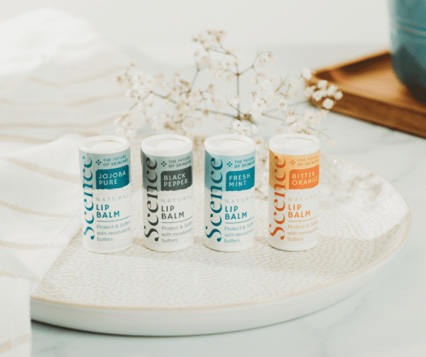 natural lip balm set on ceramic plate