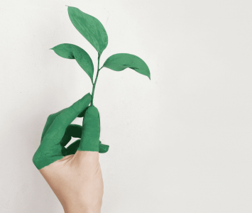 Green washed hand holding plant