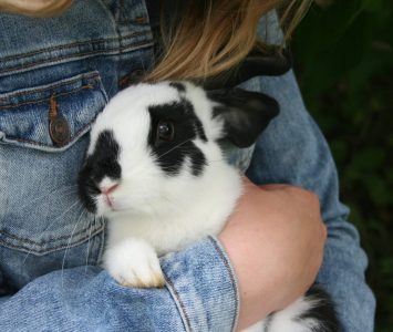 child holding rabbit